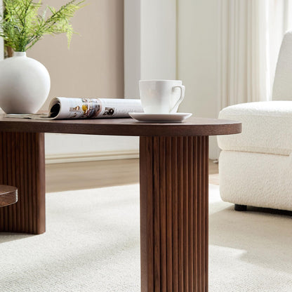 Irregular Seashell Shape Coffee Table Set