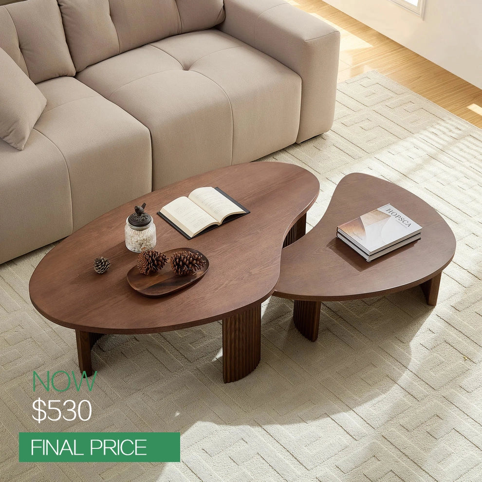 Irregular Seashell Shape Coffee Table Set