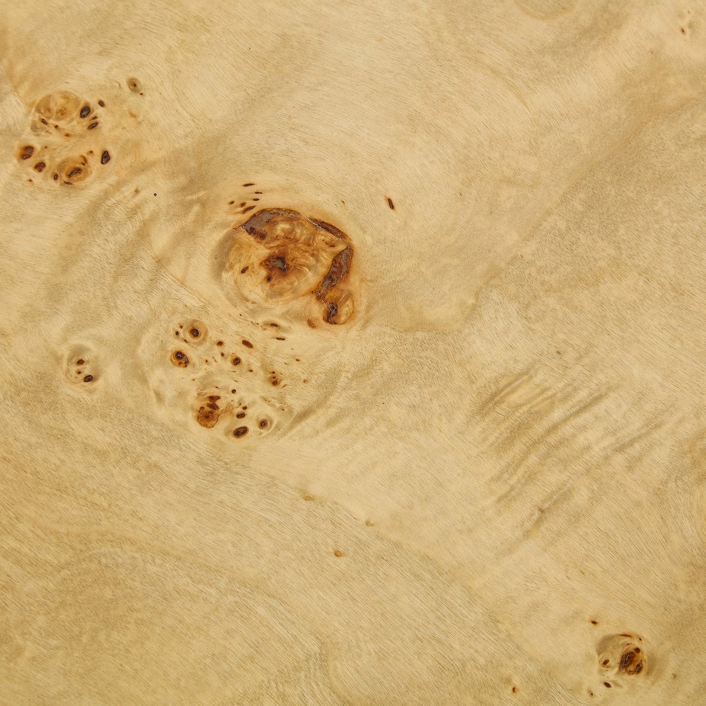 Burl Wood Veneer Coffee Table with MDF Pedestal - Mid-Century Modern