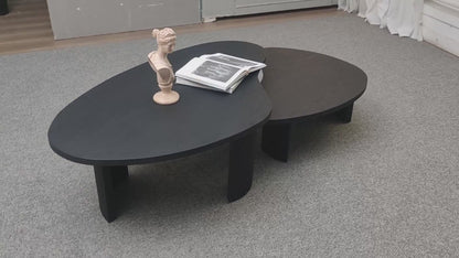 (Pre-Sale)2-Piece Easy Assembly Modern Irregular Shape Coffee Table Set
